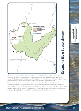 Kowmung River Subcatchment