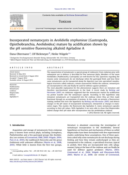 Incorporated Nematocysts in Aeolidiella