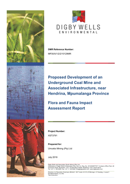 Proposed Development of an Underground Coal Mine and Associated Infrastructure, Near Hendrina, Mpumalanga Province