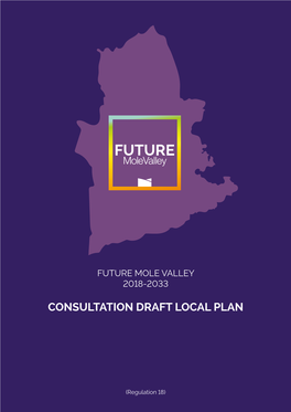 Future Mole Valley Draft Local Plan