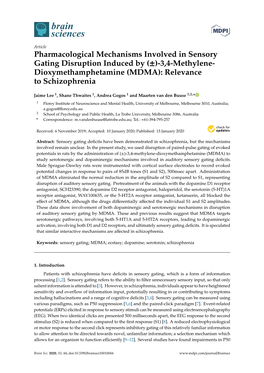 MDMA): Relevance to Schizophrenia