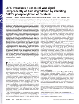 LRP6 Transduces a Canonical Wnt Signal Independently of Axin Degradation by Inhibiting GSK3’S Phosphorylation of ␤-Catenin