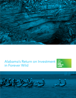 Alabama's Return on Investment in Forever Wild