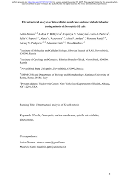 Ultrastructural Analysis of Intracellular Membrane and Microtubule Behavior During Mitosis of Drosophila S2 Cells