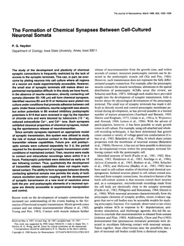 The Formation of Chemical Synapses Between Cell-Cultured Neuronal Somata