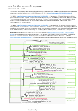 Misc Dothideomycetes LSU Sequences Friday, 18 January 2019 8:53 AM
