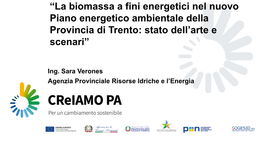 Confronto Sulla Domanda Di Cippato Del Comparto Delle Centrali Di Teleriscaldamento Con Piano Energetico Ambientale Provinciale 2013-2020