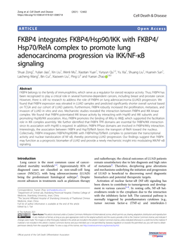 FKBP4 Integrates FKBP4/Hsp90/IKK with FKBP4/Hsp70/Rela Complex To
