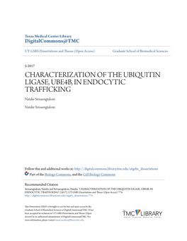 CHARACTERIZATION of the UBIQUITIN LIGASE, UBE4B, in ENDOCYTIC TRAFFICKING Natalie Sirisaengtaksin