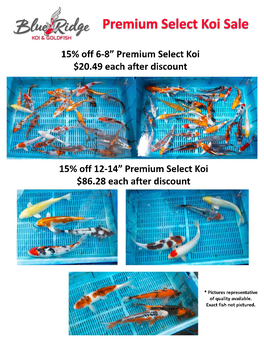 4-22-19 Blue Ridge Koi Availability