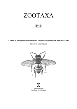 Zootaxa, a Review of the Cleptoparasitic Bee Genus Triepeolus