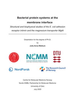 Bacterial Protein Systems at the Membrane Interface Structural and Biophysical Studies of the E