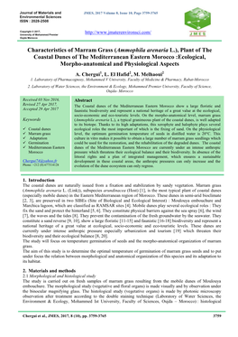 Characteristics of Marram Grass (Ammophila Arenaria L.), Plant Of