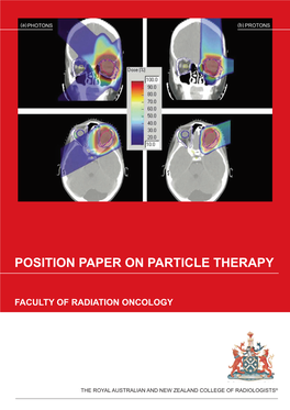 Position Paper on Particle Therapy