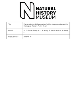 Pigmented Microbial Eukaryotes Fuel the Deep Sea Carbon Pool in the Tropical Western Pacific Ocean