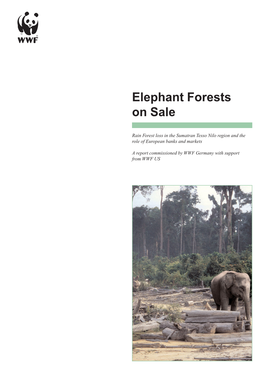 Elephant Forests on Sale