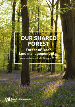 OUR SHARED FOREST Forest of Dean Land Management Plan a Consultation Draft January 2019