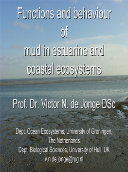 Functions of Mud in Estuarine and Coastal Ecosystems