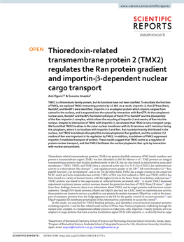 TMX2) Regulates the Ran Protein Gradient and Importin-Β-Dependent Nuclear Cargo Transport Ami Oguro1,2 & Susumu Imaoka1