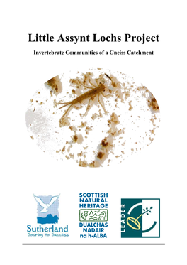 Little Assynt Lochs Project