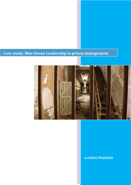 Blue Ocean Leadership Case Study