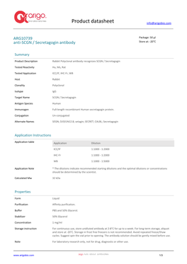 Anti-SCGN / Secretagogin Antibody (ARG10739)