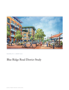 Blue Ridge Road District Study Final Report