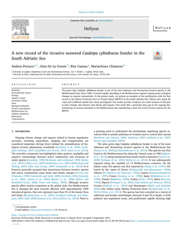 A New Record of the Invasive Seaweed Caulerpa Cylindracea Sonder in the South Adriatic Sea