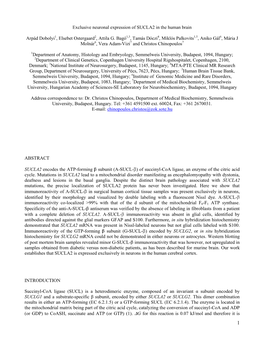 Exclusive Neuronal Expression of SUCLA2 in the Human Brain