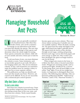 Managing Household Ant Pests Bastiaan M