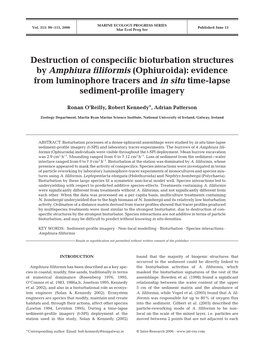 Destruction of Conspecific Bioturbation Structures by Amphiura Filiformis