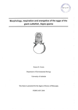 Morphology, Respiration and Energetics of the Eggs of the Giant