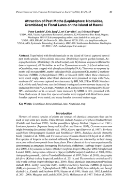 Attraction of Pest Moths (Lepidoptera: Noctuidae, Crambidae) to Floral Lures on the Island of Hawaii