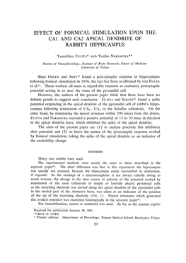 Effect of Fornical Stimulation Upon the Ca1 and Ca2 Apical Dendrite of Rabbit's Hippocampus