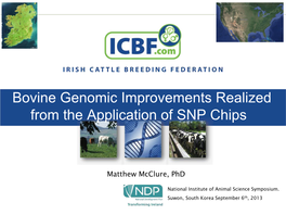 Bovine Genomic Improvements Realized from the Application of SNP Chips