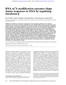 RNA M6 a Modification Enzymes Shape Innate Responses to DNA by Regulating Interferon Β