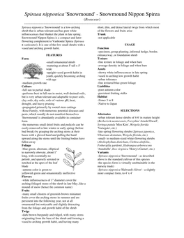 Spiraea Nipponica 'Snowmound'