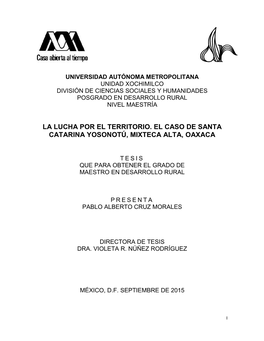 La Lucha Por El Territorio. El Caso De Santa Catarina Yosonotú, Mixteca Alta, Oaxaca