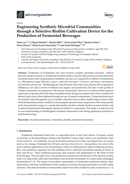 Engineering Synthetic Microbial Communities Through a Selective Bioﬁlm Cultivation Device for the Production of Fermented Beverages