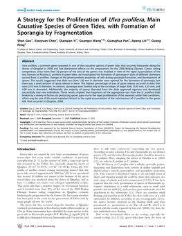 A Strategy for the Proliferation of Ulva Prolifera, Main Causative Species of Green Tides, with Formation of Sporangia by Fragmentation