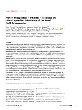 Protein Phosphatase 1 Inhibitor–1 Mediates the Camp-Dependent Stimulation of the Renal Nacl Cotransporter