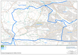 Division Arrangements for Galley Common