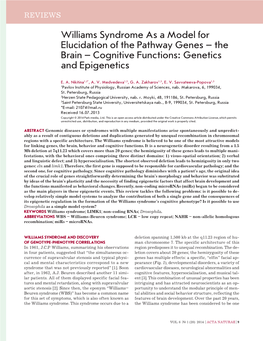 Williams Syndrome As a Model for Elucidation of the Pathway Genes – the Brain – Cognitive Functions: Genetics and Epigenetics