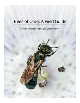 Bees of Ohio: a Field Guide