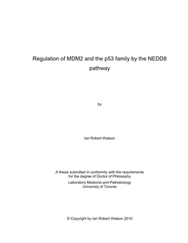 Regulation of MDM2 and the P53 Family by the NEDD8 Pathway