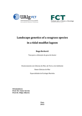 Landscape Genetics of a Seagrass Species in a Tidal Mudflat Lagoon