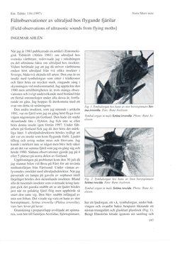 Flygande Fjärilar [Field Observations of Ultrasonic Sounds from Flying Mothsl