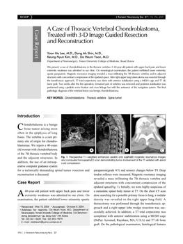 A Case of Thoracic Vertebral Chondroblastoma, Treated with 3-D Image Guided Resection and Reconstruction