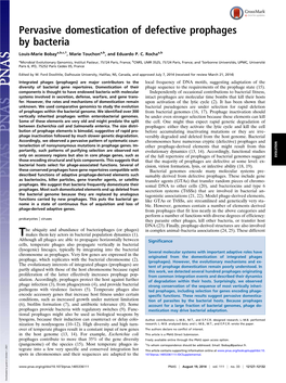 Pervasive Domestication of Defective Prophages by Bacteria