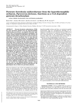 Pyruvate Ferredoxin Oxidoreductase from the Hyperthermophilic